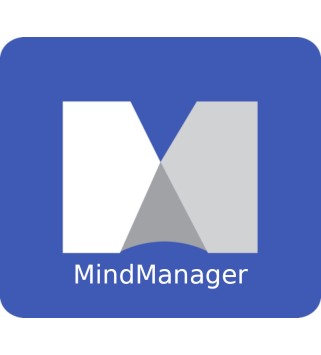 Mindjet MindManager 2019 1 Key GLOBAL